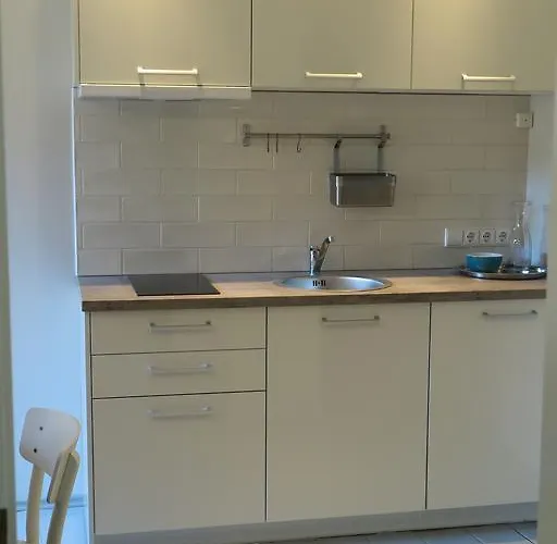 בית הארחה Senoji Vaistine פלאנגה