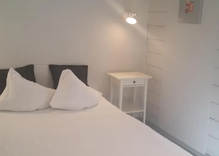 בית הארחה Senoji Vaistine *